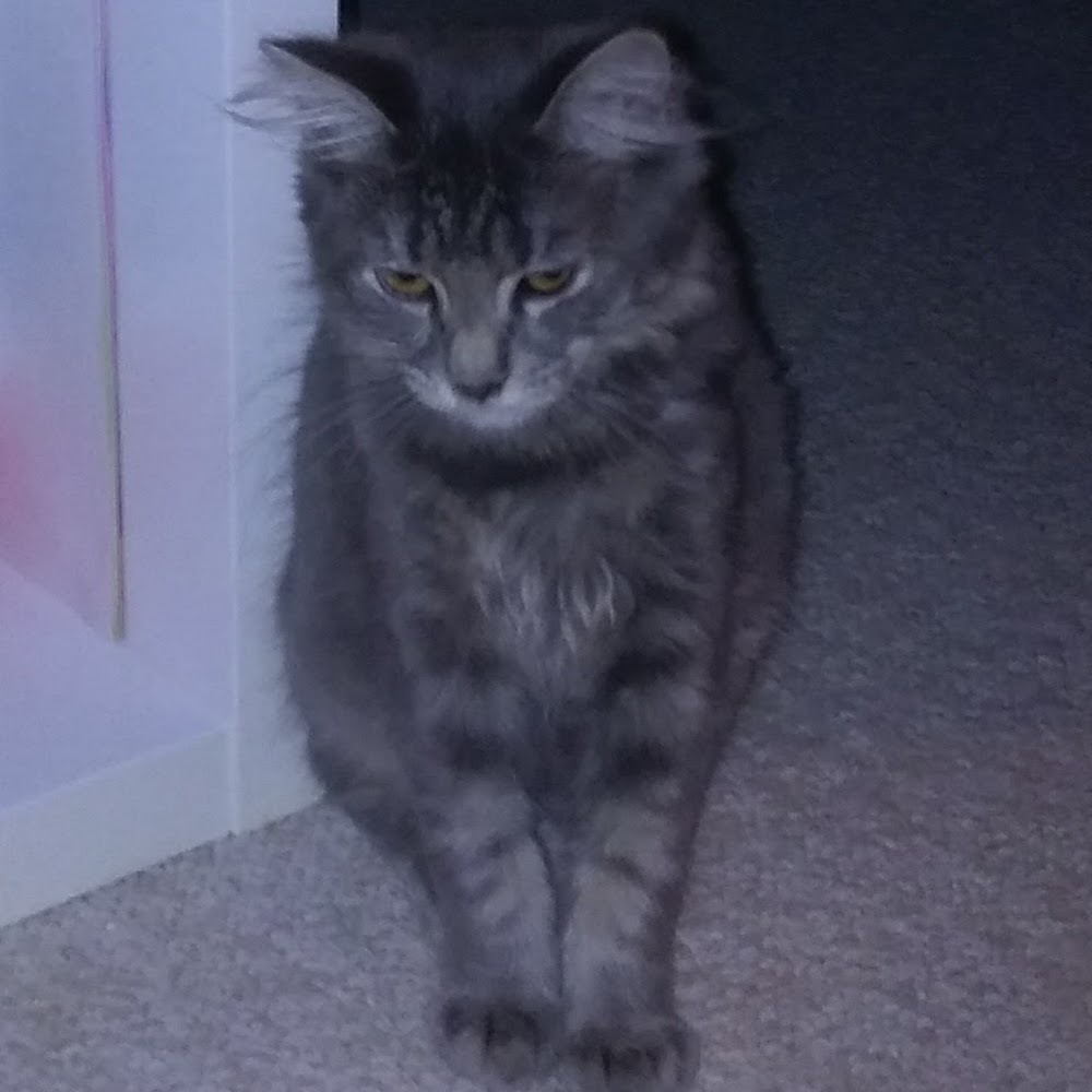 Meet your Posher, Luna